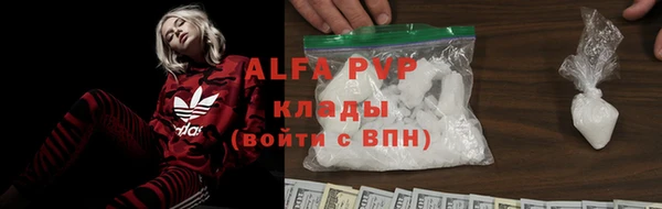 дмт Белокуриха