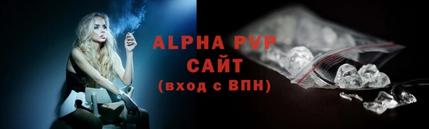дмт Белокуриха